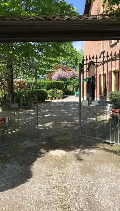 Anteprima video