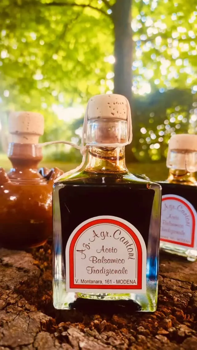 Vino e Aceto Balsamico Modena
